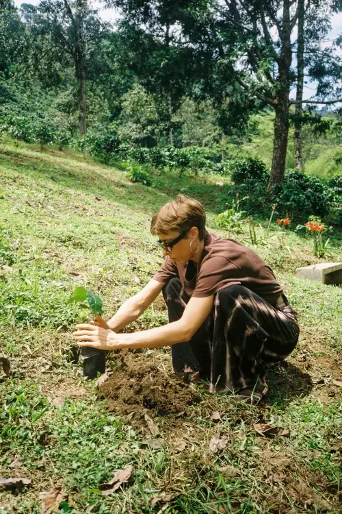 Woman in sunglasses crouches on a grassy slope to plant a small sapling outdoors with a background of lush green trees.