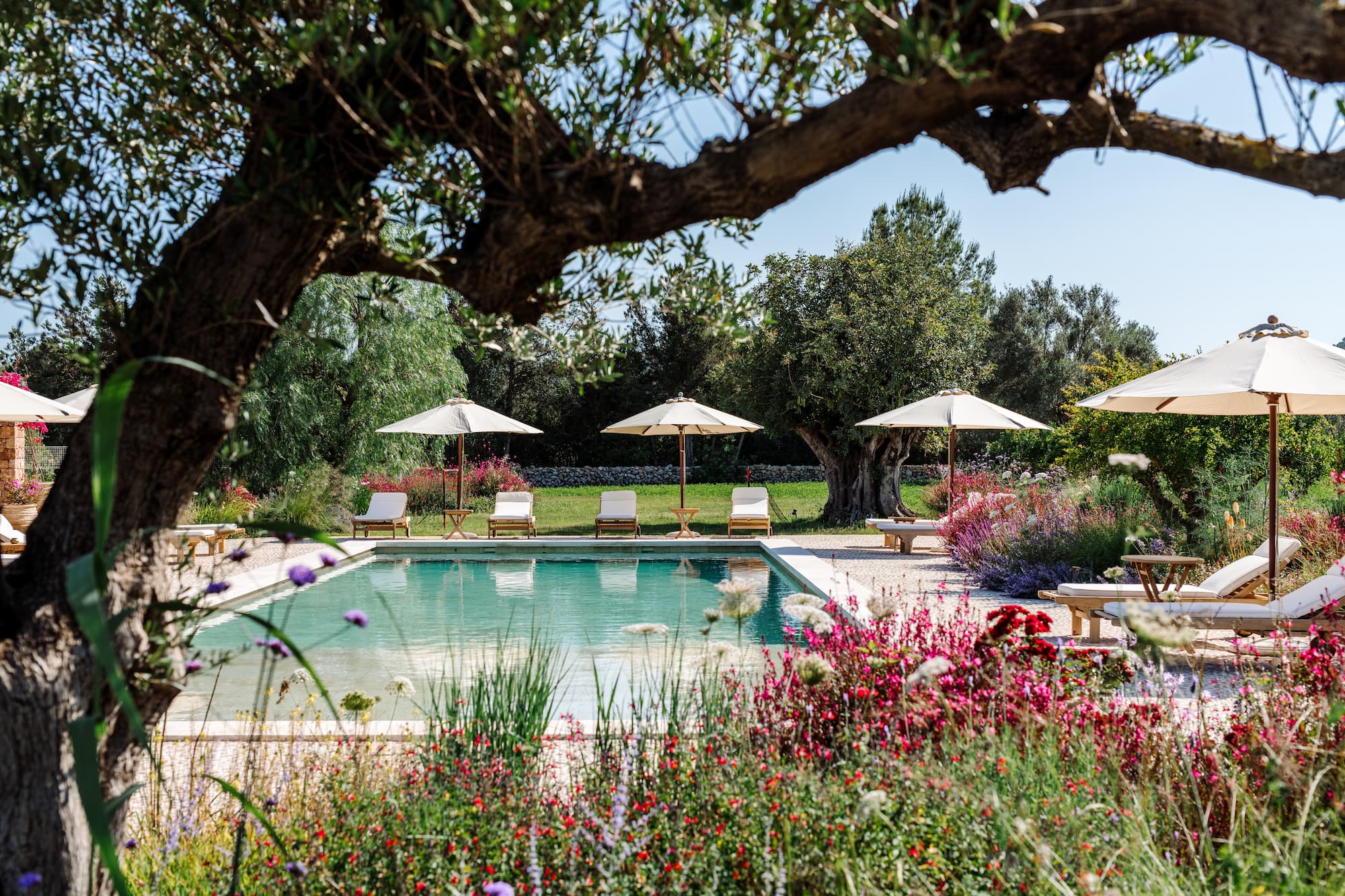 Finca Selva