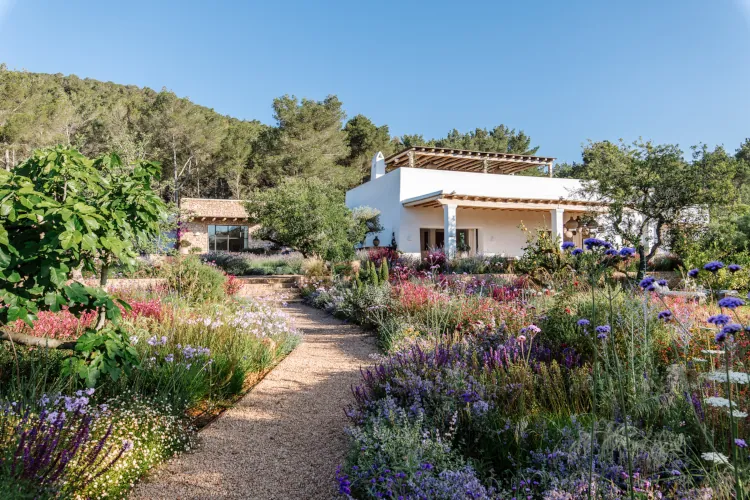 Winding gravel path through colorful wildflower garden leading to white Mediterranean villa with terracotta roof, ancient olive trees, lush greenery, and sunny blue sky backdrop