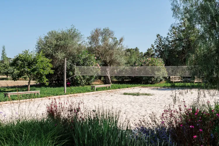 Sandy outdoor court enclosed by net fence in Mediterranean garden, surrounded by olive trees, citrus plants, flowering shrubs, wooden benches, and blue sky