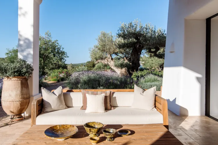 Sunny outdoor terrace with white cushioned daybed, wooden frame, neutral pillows, large terracotta pot, golden ceramic bowls on low table, ancient olive tree, lavender fields, and Mediterranean hillside view