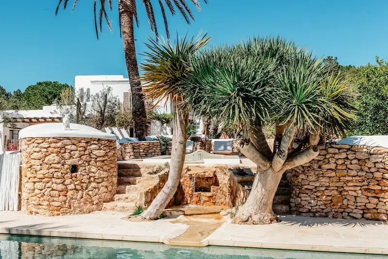 CAN SAVI_MAVEN COLLECTION_094