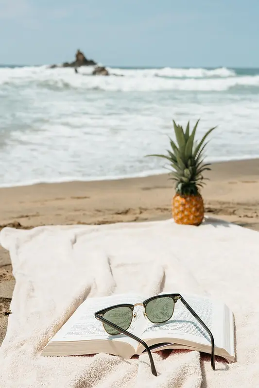 The beach at Casa Nopal