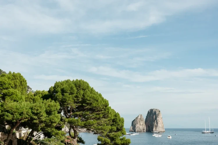 Coastal scene with lush green trees on the left, clear blue sea meeting the sky, tall rocky formations in the distance, and boats gently floating.