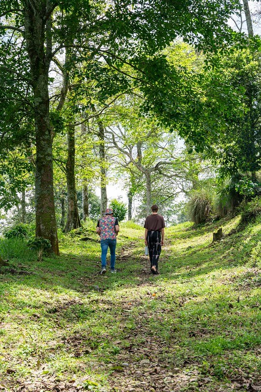 Hiking 54909607170_1237fe0811_c