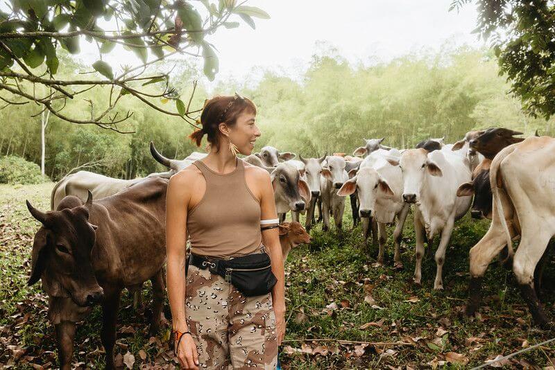 Woman standing among cows in the countryside of Antioquia, Colombia