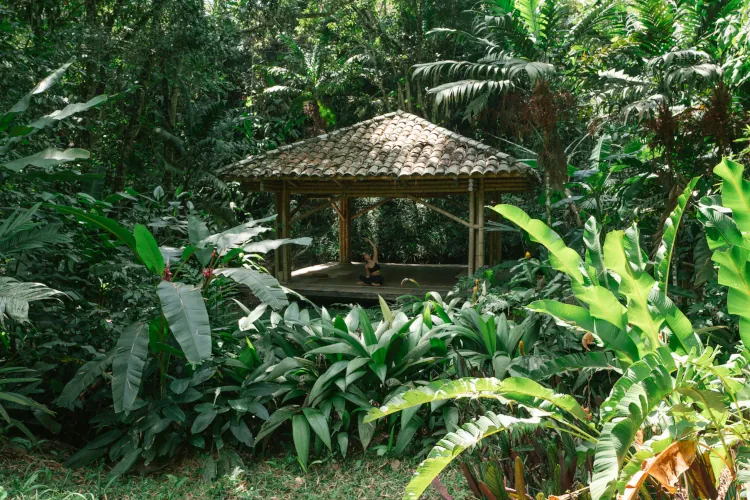 A rustic pavilion with a tiled roof sits amidst lush, vibrant green foliage in a dense jungle setting, creating a serene and peaceful atmosphere.