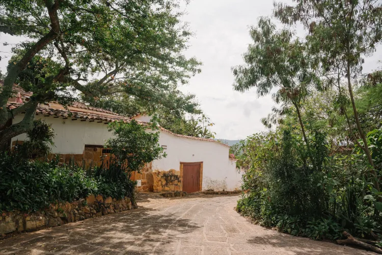 A rustic, whitewashed house with a red door is nestled among lush green trees on a quiet, stone-paved street, evoking a serene, rural atmosphere.