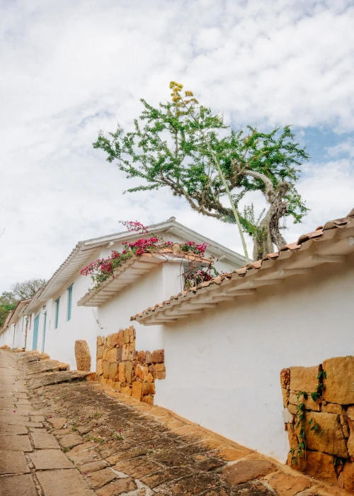 White houses with red-tiled roofs line a cobblestone street under a cloudy sky. A tree with green leaves and pink flowers adds color and charm.