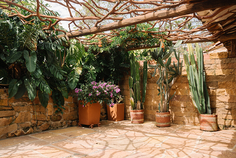 Rustic stone courtyard of a luxury villa in Barichara featuring tall cacti, tropical plants, and a unique branch pergola casting shadows on the patio.