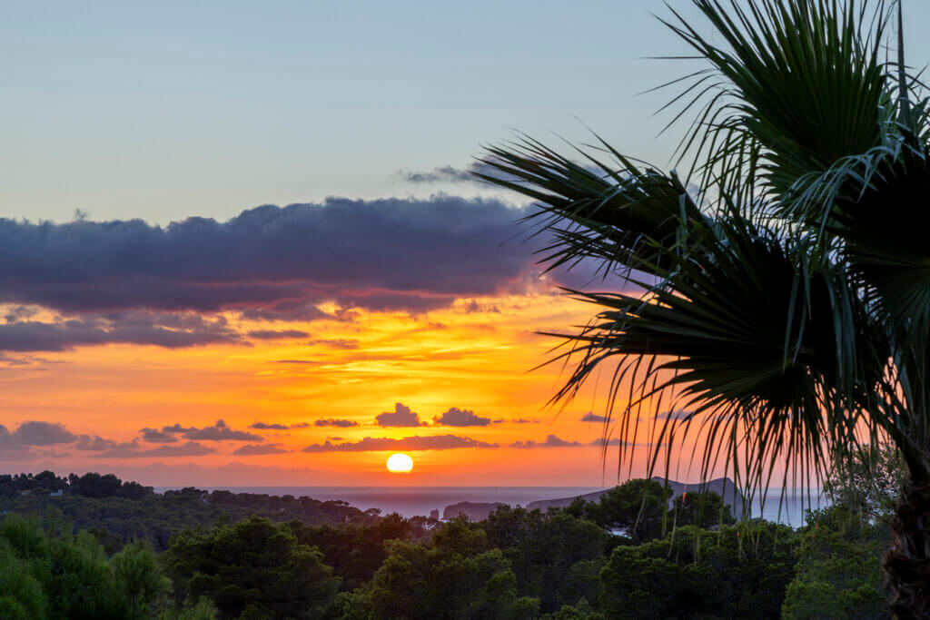 A vibrant orange and purple sunset over the Mediterranean sea and forest, viewed from luxury Villa Anaïs behind a palm tree.