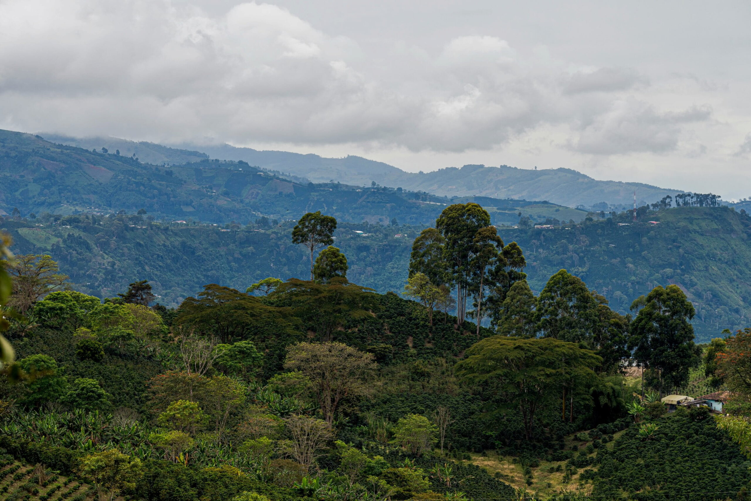 Medellín City Guide: Where to Eat, Stay, and Spend Time in Colombia's Second City