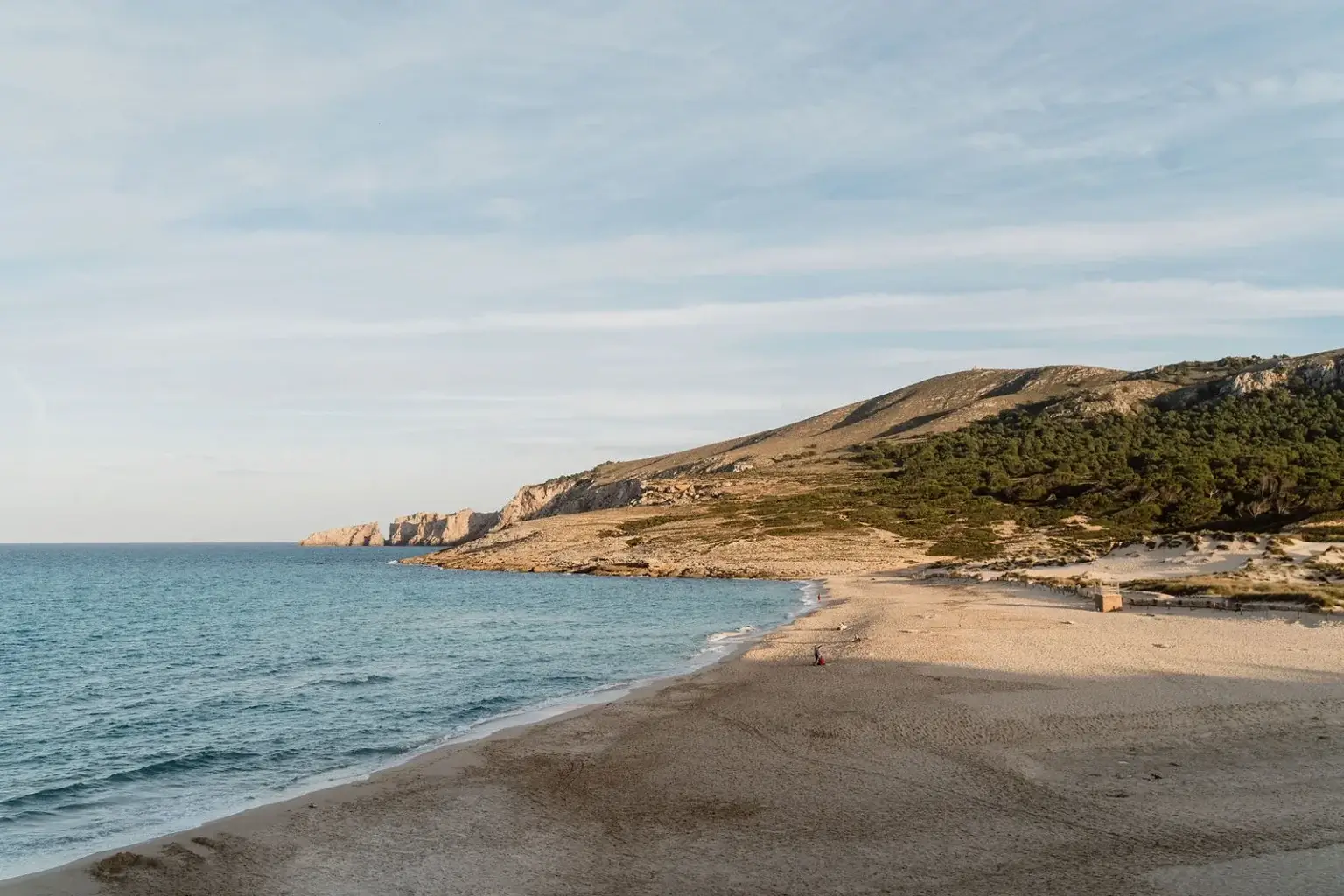 Cala Torta beach with golden sand, turquoise Mediterranean water and rocky cliffs in Mallorca, Spain