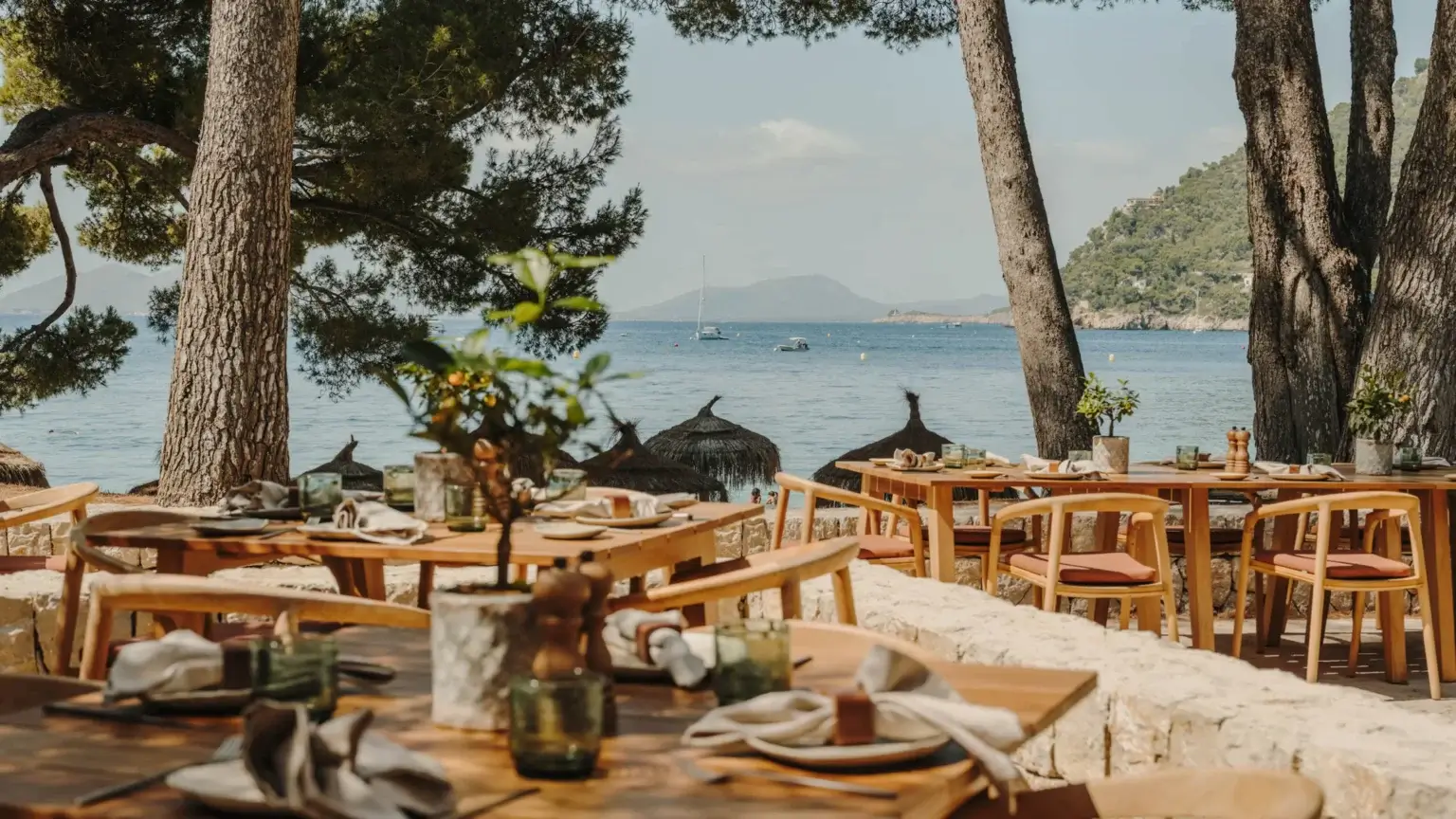 Platja de Formentor with turquoise Mediterranean water and pine-covered coastline in Mallorca, Spain