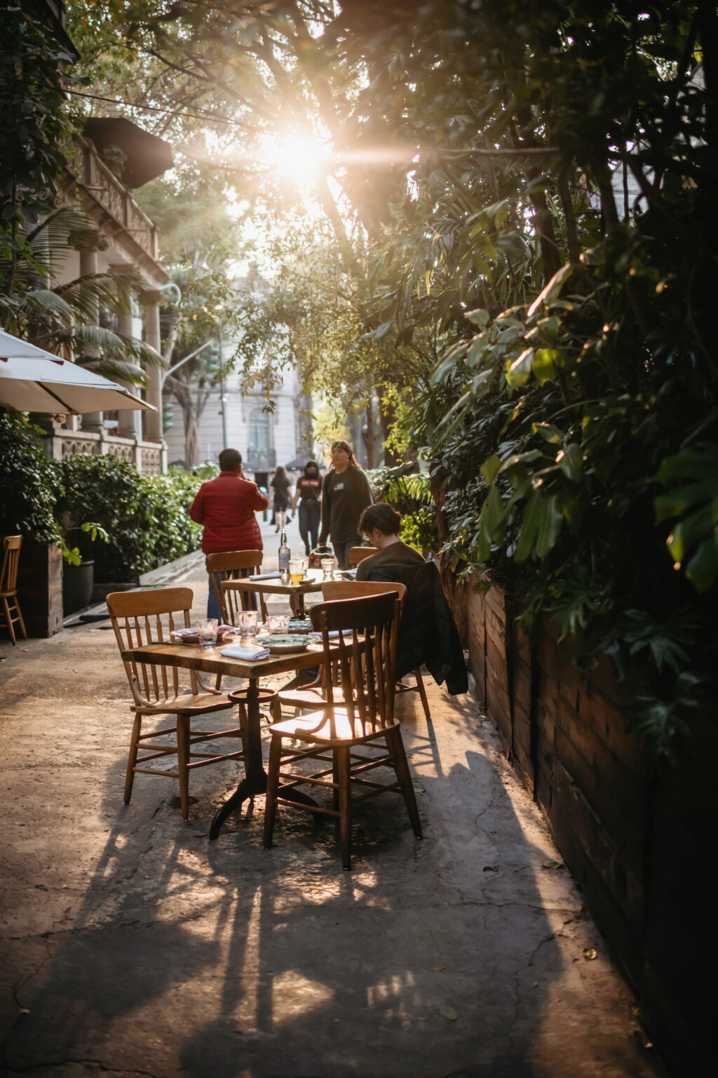 Outdoor restaurant tables surrounded by greenery in Mexico City