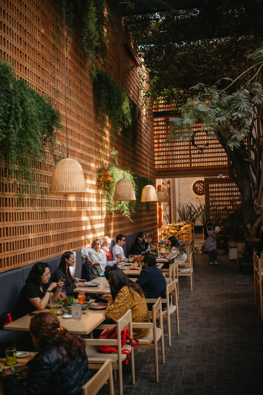 Lush Mexico City restaurant courtyard with outdoor dining