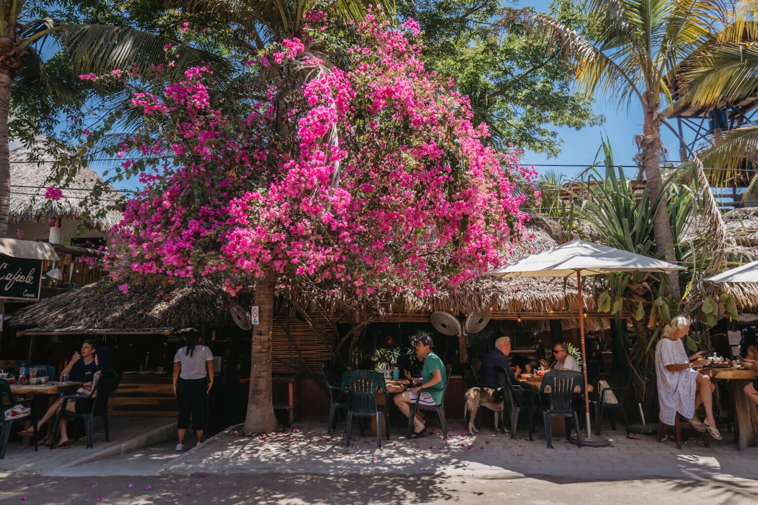 mexico-luxury-villa-puerto-escondido-food-scene
