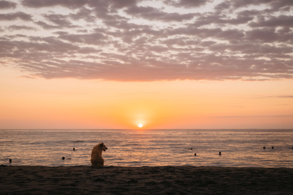 mexico-luxury-villa-puerto-escondido-sunset