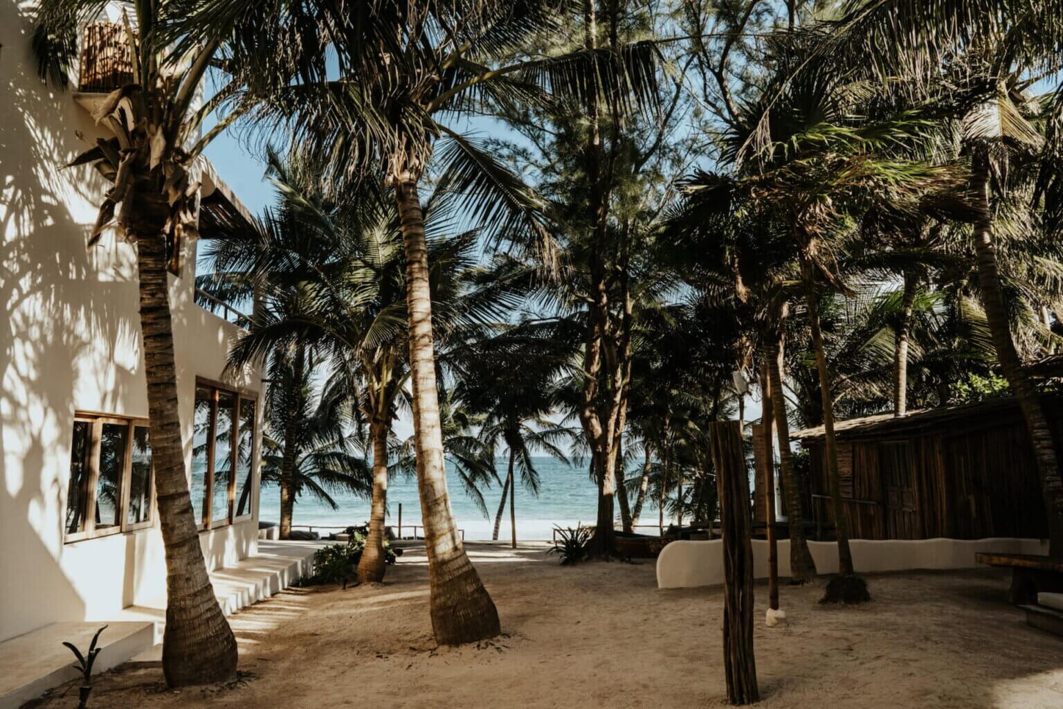 Sea view through tall palm trees at a beachfront villa in Tulum