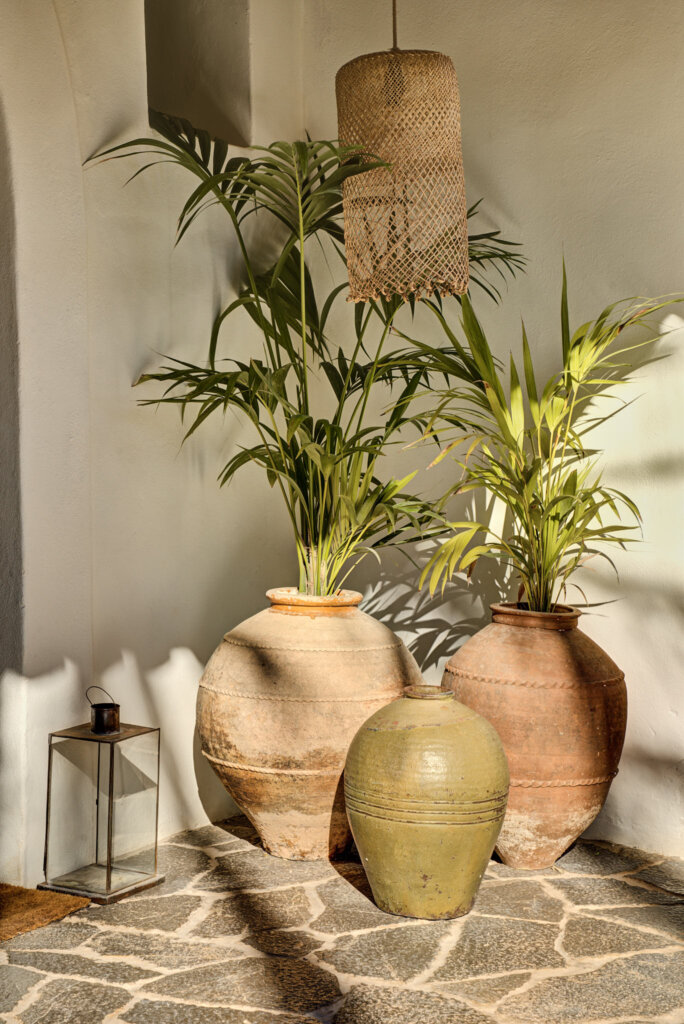 Rustic ceramic vases and tropical plants inside Fincadelica villa in San Lorenzo, Ibiza